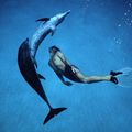 "Dolphin Boy" est diffusé sur Arte sous le titre "Parle avec les dauphins"!