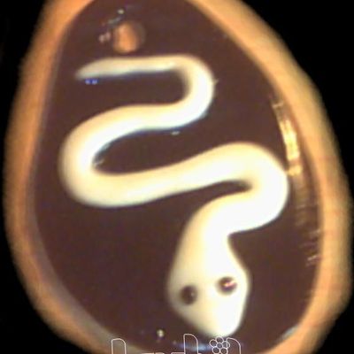 Pendentif Serpent [2€ + 2timbres]