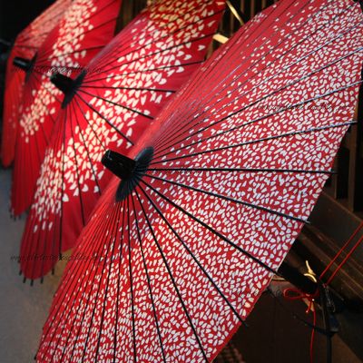 Le Japon - Tokyo Hakone et Kyoto