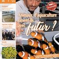 2 gros Dossiers sur l'élevage des poissons ornementaux dans le ZebrasO'mag