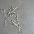 Broderie Blanche