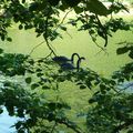 Fin de printemps au parc Montsouris