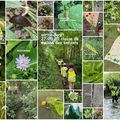 sortie forêt mai 2025 en classe de Maison des Enfants