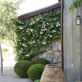 séjourner dans le Sud j'adore les jardins de