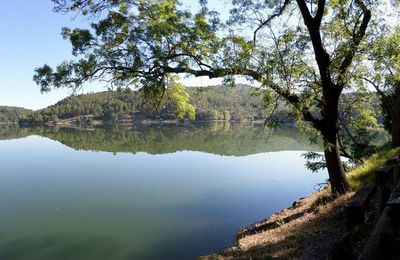 83 / lac de Carcès - Vallon Sourn