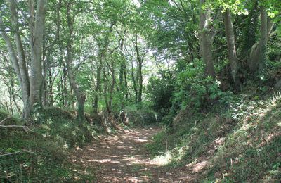 Plougoulm:4 Cimetière D69 Ty Cosquet r du Varquez Kervasquez Kervandoué Stang Croas Mean D788 D69 Rambloude Feunteun Coz Kernéve