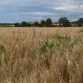 Vacances à JENZAT (Allier)