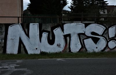 st etienne 42 2019    street art   NUTS!