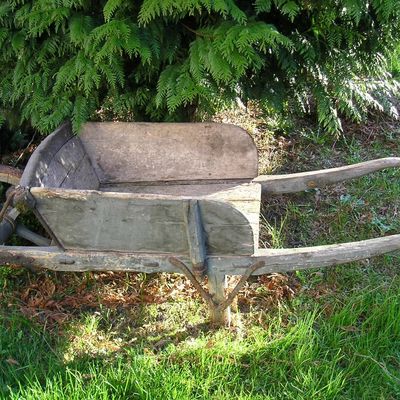 Lutine pense à vous......