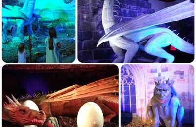 Voyage au pays des dragons avec Dragonland l'expo