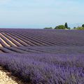 haute Provence