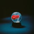 DARKSIDE – Nothing (2025)