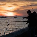 La pêche miraculeuse...