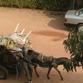 le ramassage des ordures ménagères à Ouaga