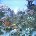 aquarium de nouméa