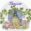 Les arbustes d'été