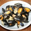 Moules aux chicon (endive) et Maroilles