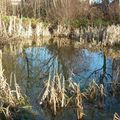 La plaine de Rosny, zone Natura 2000