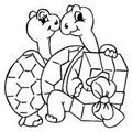 Coloriage - Tortue