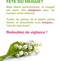 Les chats et le muguet