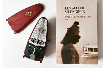 LES ACCORDS SILENCIEUX - Marie-Diane MEISSIREL