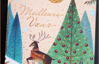 Vos cartes de voeux et les miennes