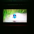 LE MONDE DE DORY