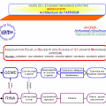 APREEM - architecture de l'association