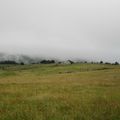 Près d'Aubrac