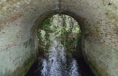 le pont caché...