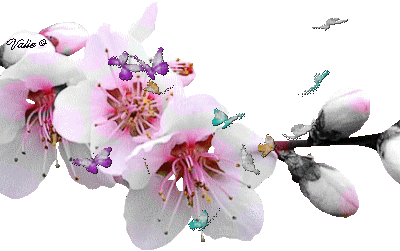 Il  en  faut  :  cartes  de  condoléances !!! 