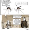 moustiques 