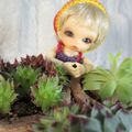 Praline ma Pukipuki dans les plantes