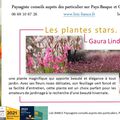 💐 Gaura Lindheimeri rose foncé par Paysagiste Pays Basque, Paysagiste Landes.