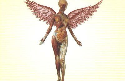 NIRVANA - In Utero