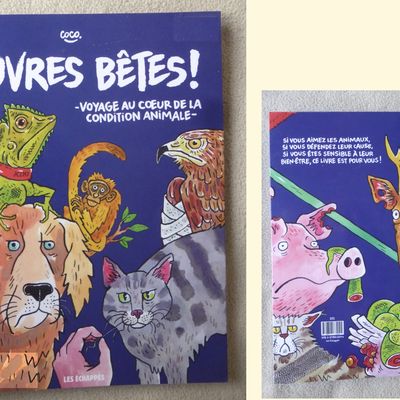 Pauvres bêtes! - Coco