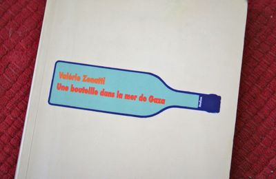 Une bouteille dans la mer de Gaza