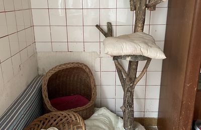 [GRIF' En Fête] Diaporama guidé des installations.