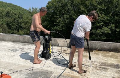 Des "pensionnaires" très actifs ...