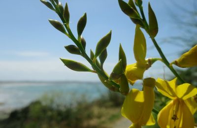 Pèlerinage à la Pointe de la Varde à Saint-Malo le 28 mai 2025 (1)