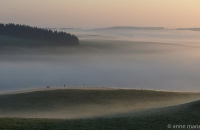 Un petit tour en Aubrac