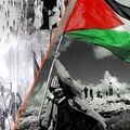 كيف أثرت الثورة الجزائرية في الوعي الثوري الفلسطيني؟, عنان العجاوي