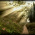 THE GARDENER...Extrait