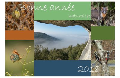 Bonne année naturaliste 2018 !