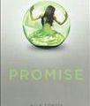 Promise, Ally Condie