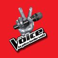 The Voice 2 du 2 février 2013 : les coups de coeur de Vos Tribunes à la Une (vidéo)