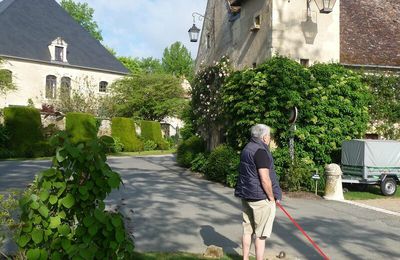 Fête des plantes ....à ....Apremont sur Allier