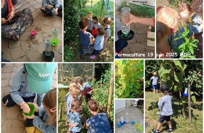 Ateliers de permaculture de juin 2025