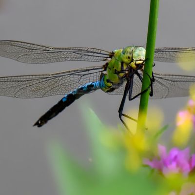 3 rayons de soleil...., et ça s'active au bord des chemins...comme quoi rien de tel que l'énergie solaire !