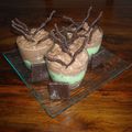 COUPE DE BAVAROIS CHOCOLAT MENTHE